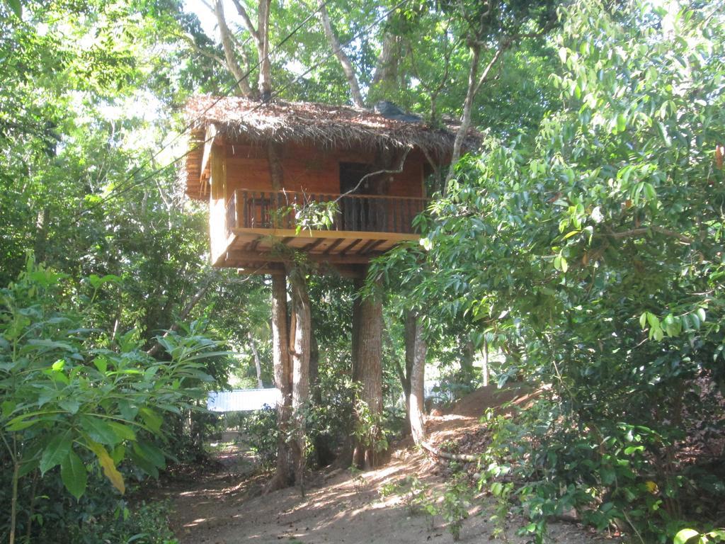 Abberny Villa Oost-Oost-Midigama Buitenkant foto